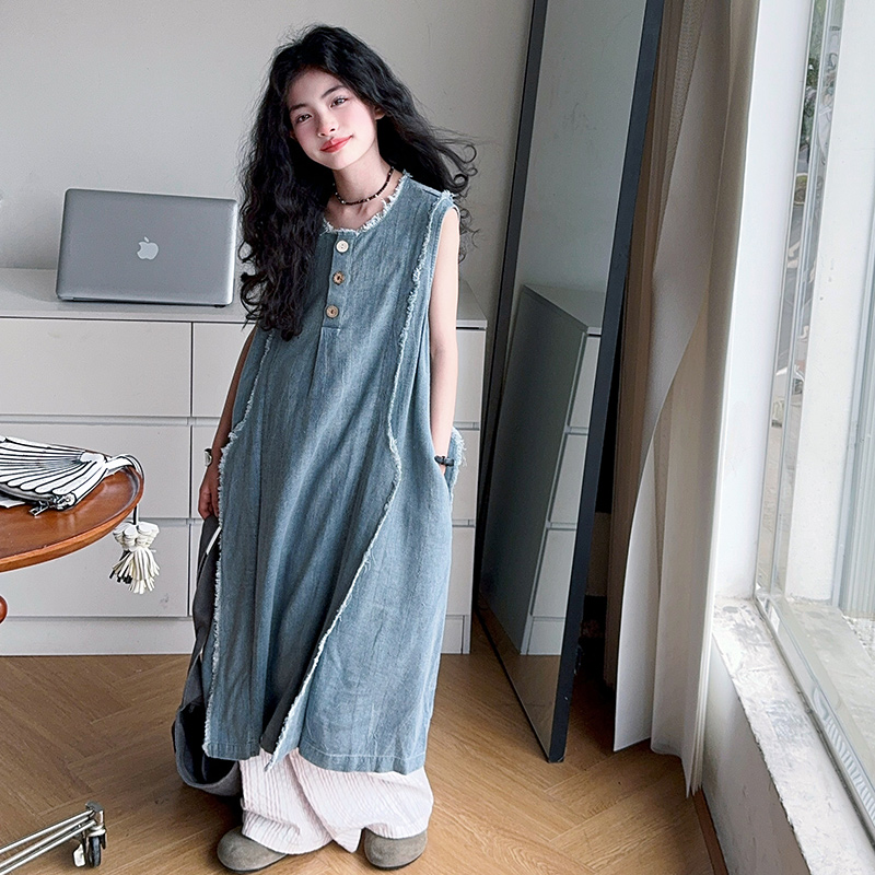Loose Style Kids Luxury Summer - Street Fashion Girls 评论和价格